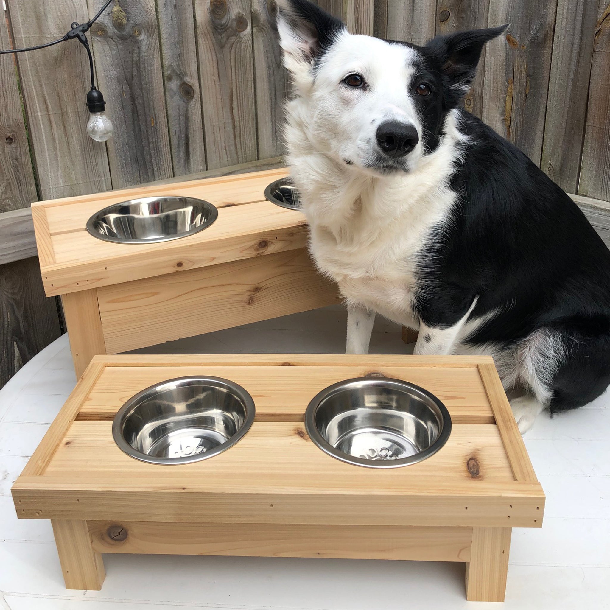 Tall Cedar Dog Bowl Stand with Stainless Steel Bowl – The Crooked Collie Co.